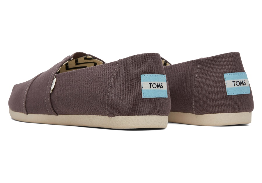 Alpargata Recycled Cotton Canvas Toms Ash