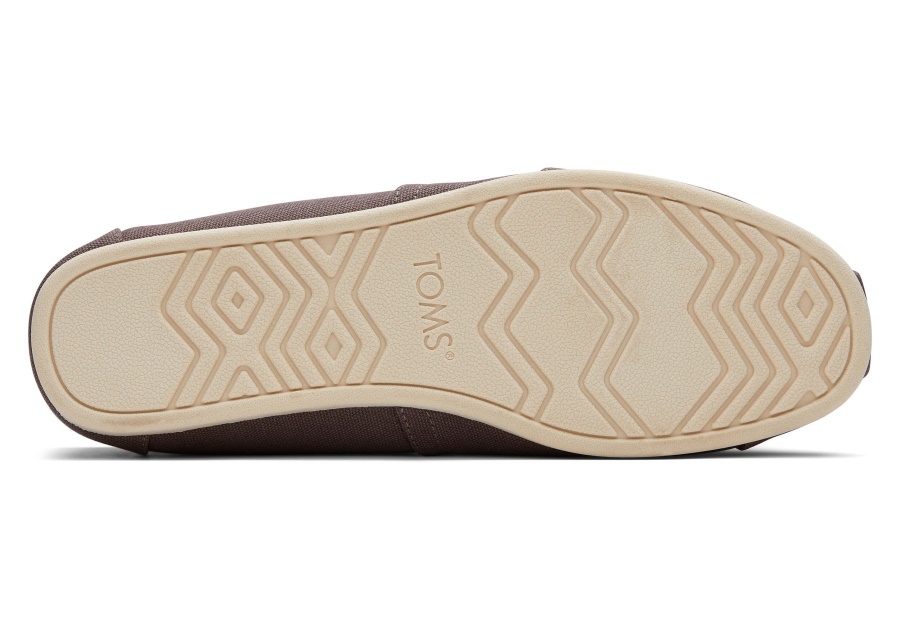 Alpargata Recycled Cotton Canvas Toms Ash