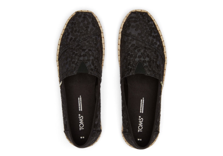 Espadrille Toms Alpargata Black