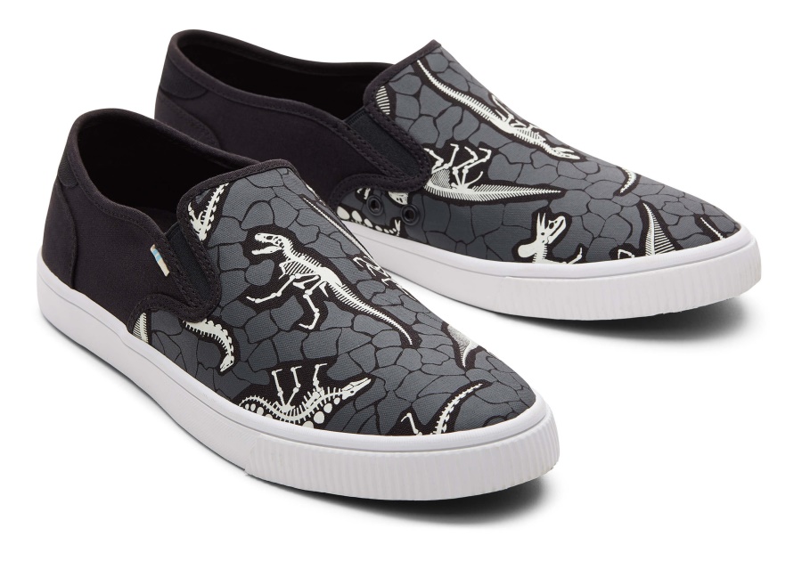 Toms Baja Slip On Dinosaur Dig Black Dino