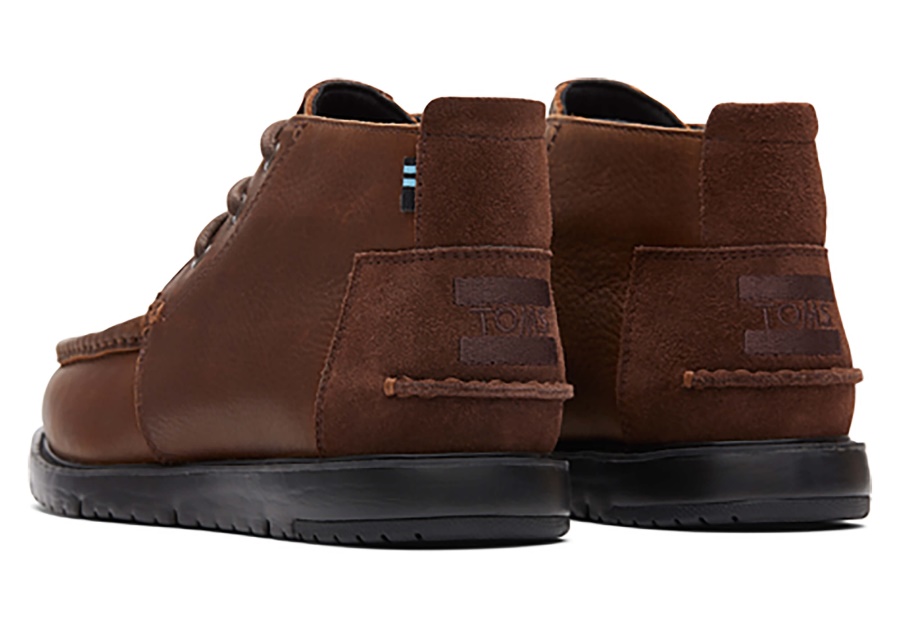 Toms Chukka Boot Water Resistant Chicory Brown