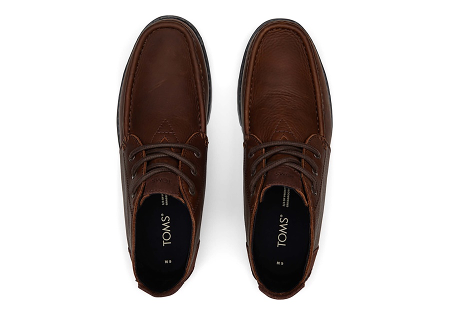 Toms Chukka Boot Water Resistant Chicory Brown