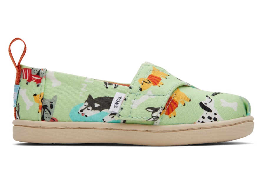 Toms Dogs Alpargata Green