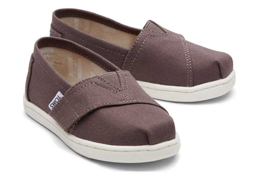 Toms Grey Alpargata Ash