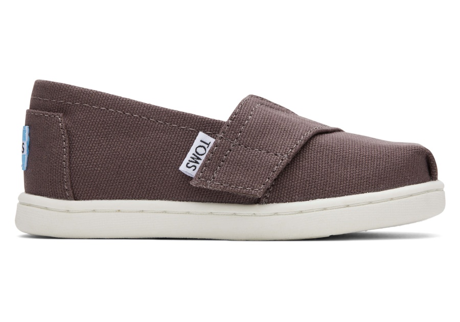 Toms Grey Alpargata Ash