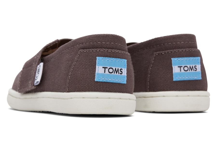 Toms Grey Alpargata Ash