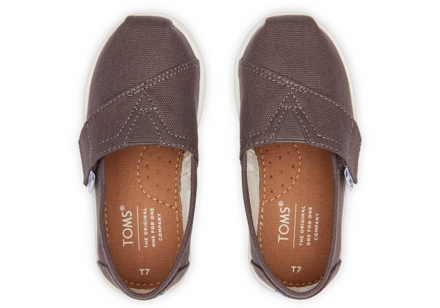 Toms Grey Alpargata Ash