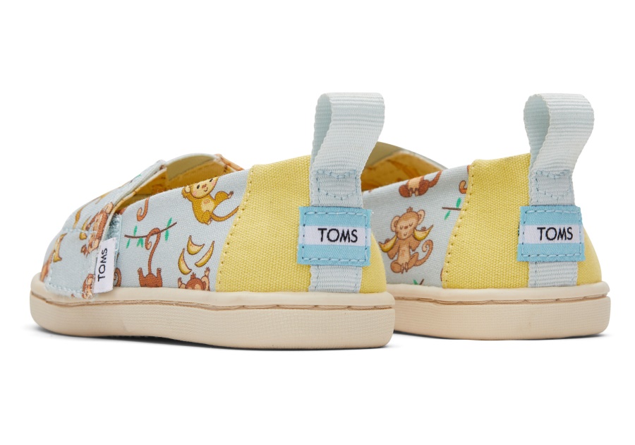 Toms Monkey Business Alpargata Light Blue