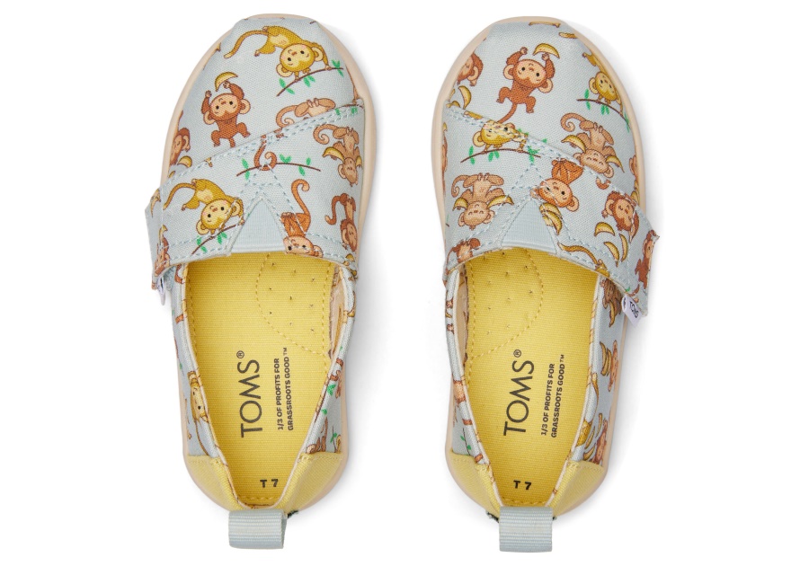 Toms Monkey Business Alpargata Light Blue