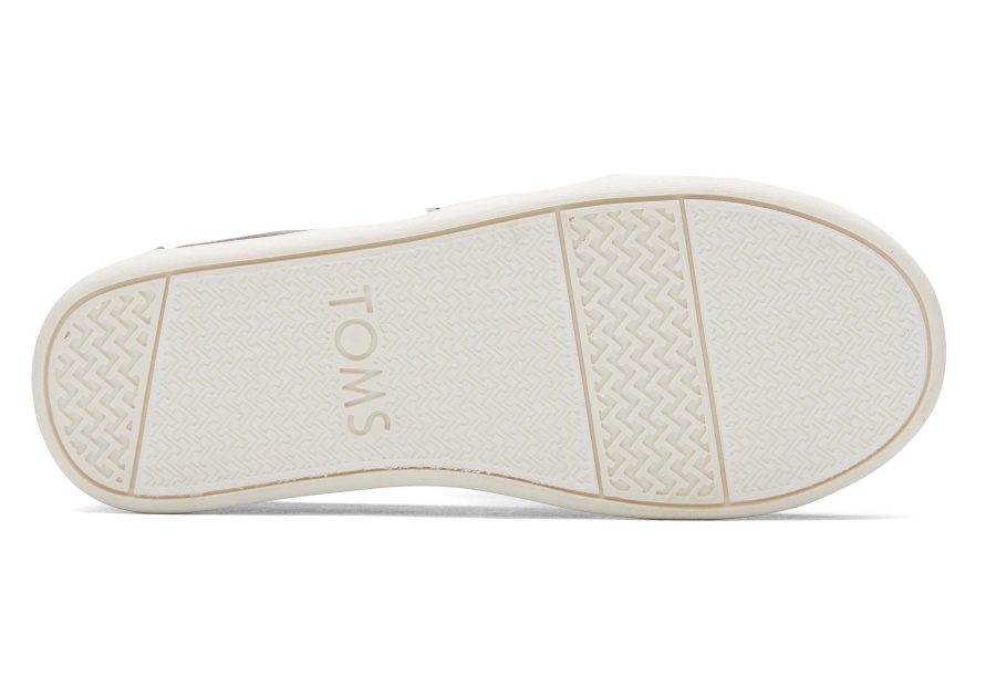 Toms Youth Alpargata Canvas Ash
