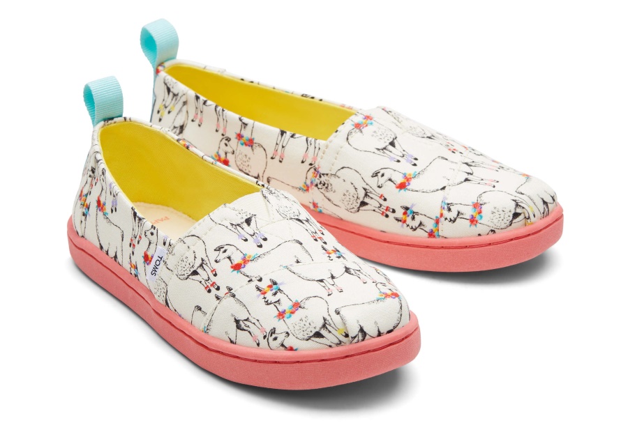 Toms Youth Alpargata Paper Source Ivory