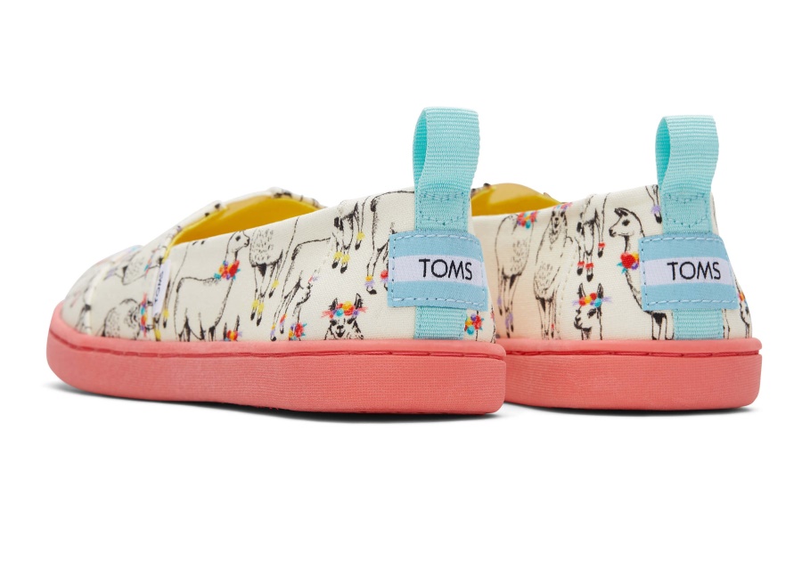 Toms Youth Alpargata Paper Source Ivory