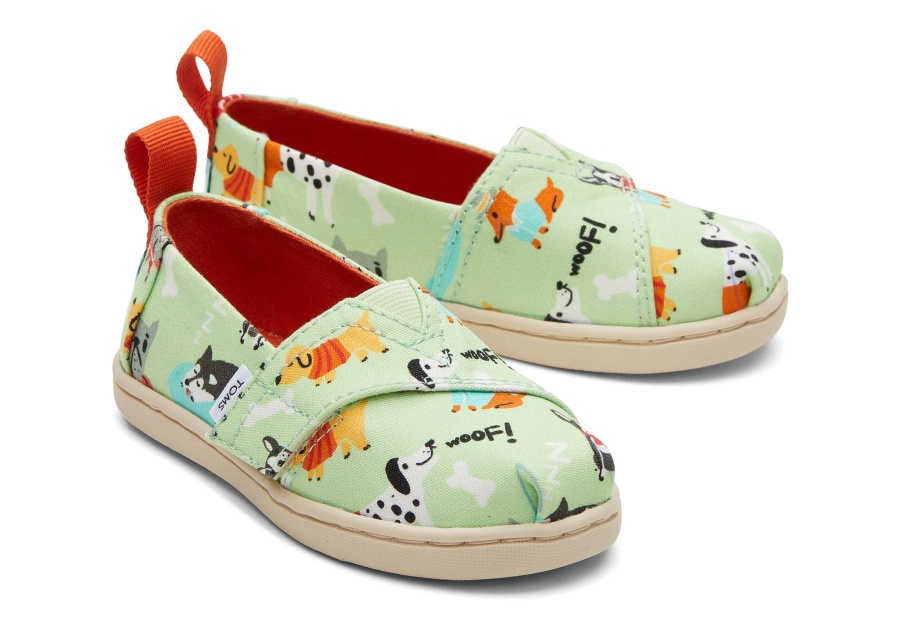Toms Dogs Alpargata Green