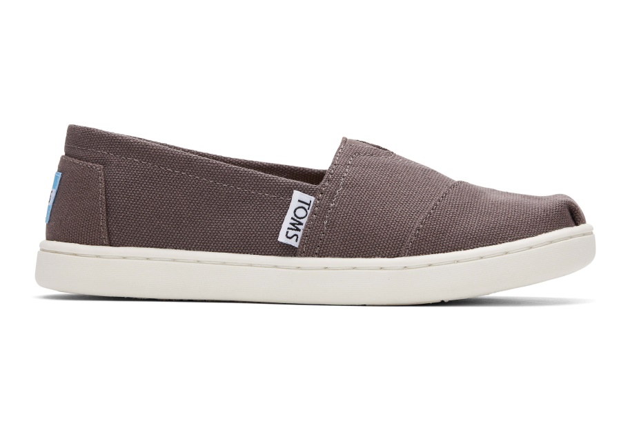 Toms Youth Alpargata Canvas Ash